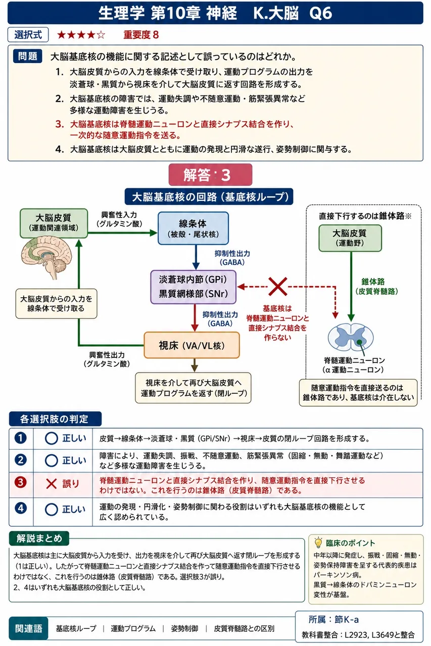 大脳基底核の機能に関する記述として誤っているのはどれか。 解説図