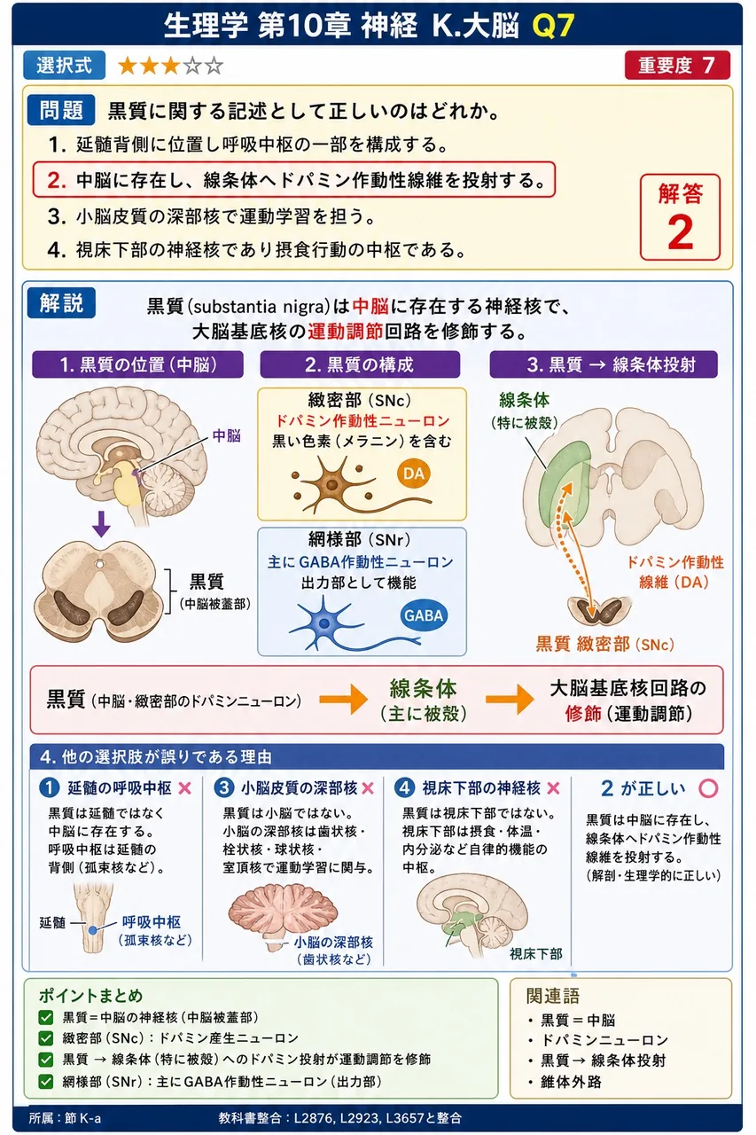 黒質に関する記述として正しいのはどれか。 解説図