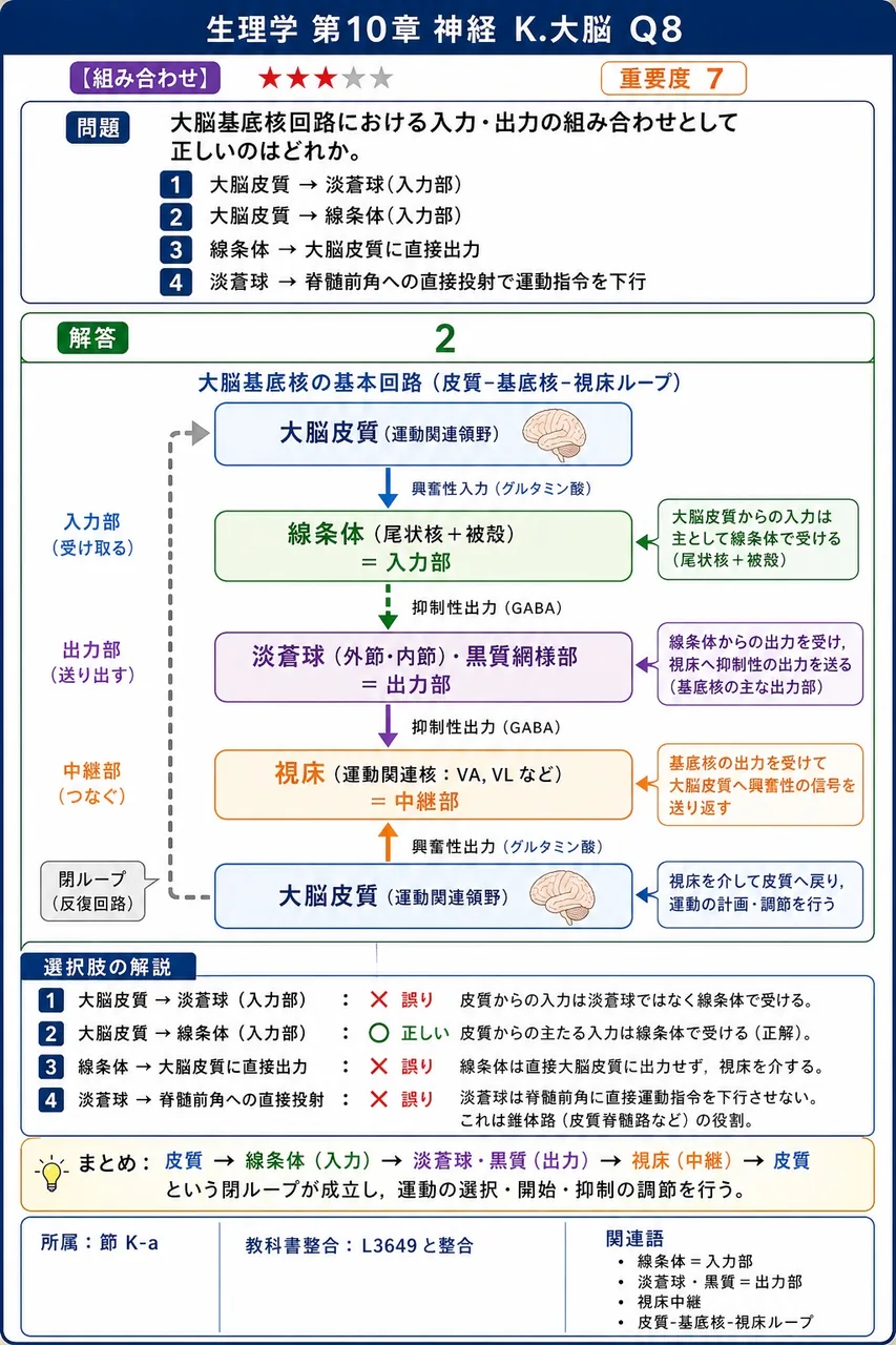 大脳基底核回路における入力・出力の組み合わせとして正しいのはどれか。 解説図