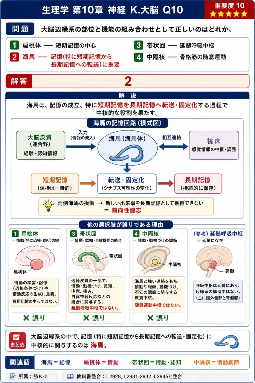 大脳辺縁系の部位と機能の組み合わせとして正しいのはどれか。 解説図