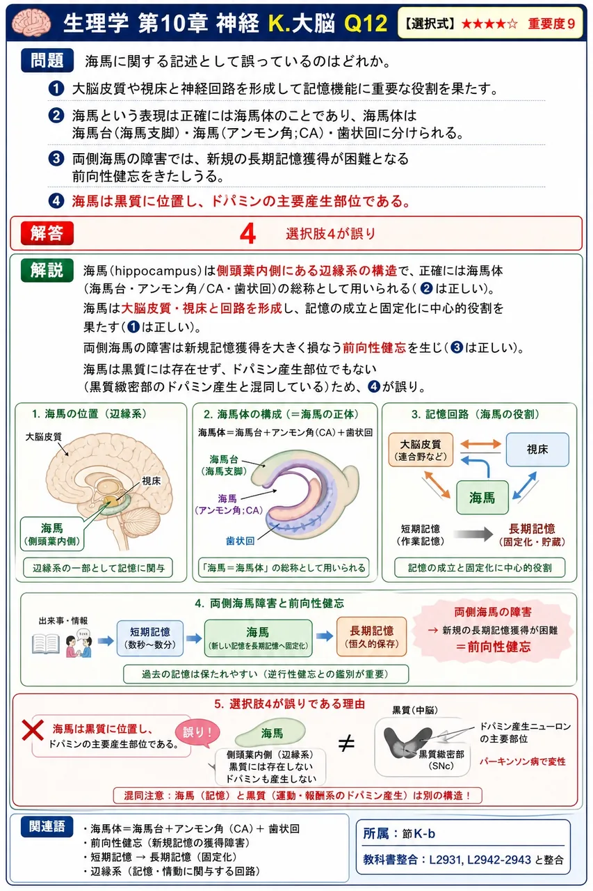 海馬に関する記述として誤っているのはどれか。 解説図