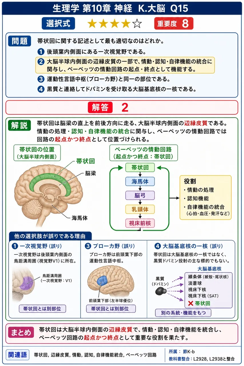 帯状回に関する記述として最も適切なのはどれか。 解説図