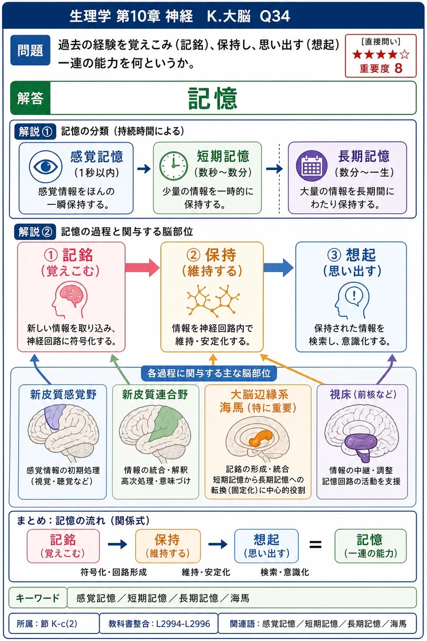 過去の経験を覚えこみ(記銘)、保持し、思い出す(想起)一連の能力を何というか。 解説図