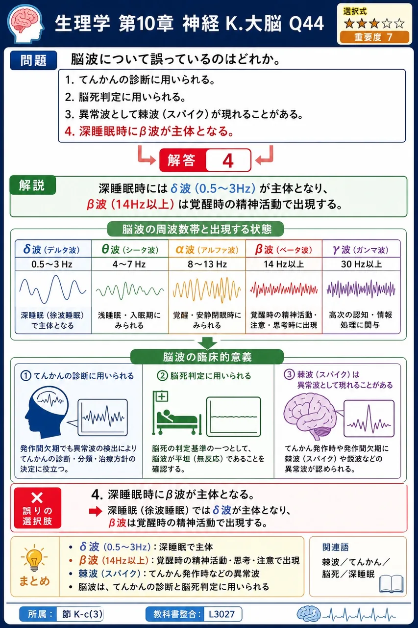 脳波について誤っているのはどれか。 解説図