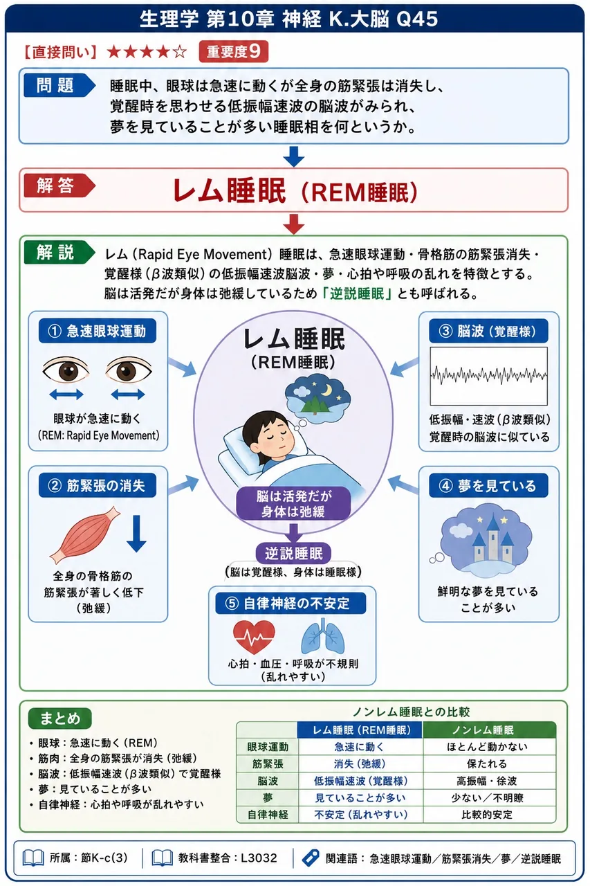 睡眠中、眼球は急速に動くが全身の筋緊張は消失し、覚醒時を思わせる低振幅速波の脳波がみられ、夢を見ていることが多い睡眠相を何というか。 解説図