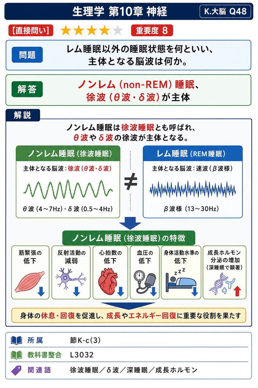 レム睡眠以外の睡眠状態を何といい、主体となる脳波は何か。 解説図