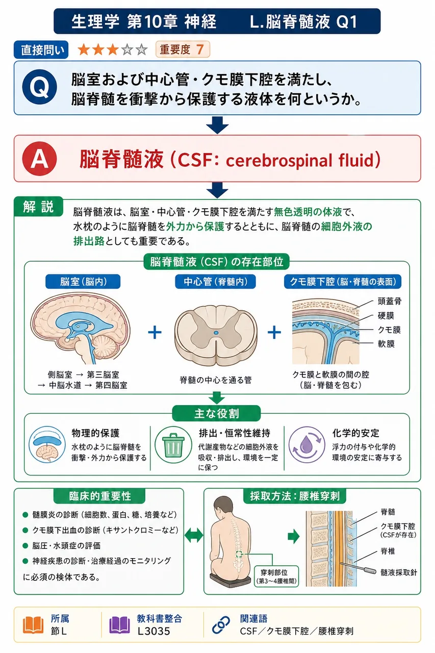脳室および中心管・クモ膜下腔を満たし、脳脊髄を衝撃から保護する液体を何というか。 解説図