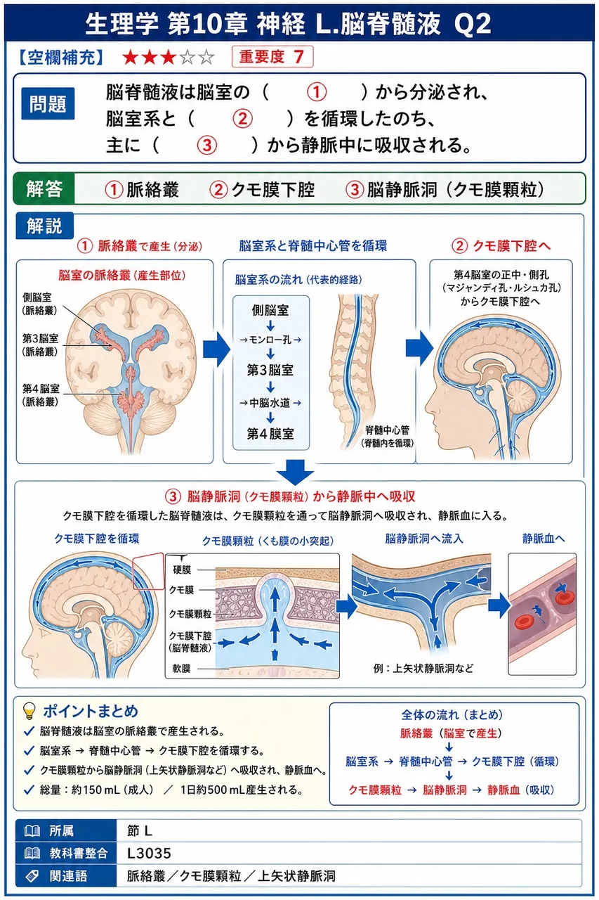 脳脊髄液は脳室の( ① )から分泌され、脳室系と( ② )を循環したのち、主に( ③ )から静脈中に吸収される。 解説図