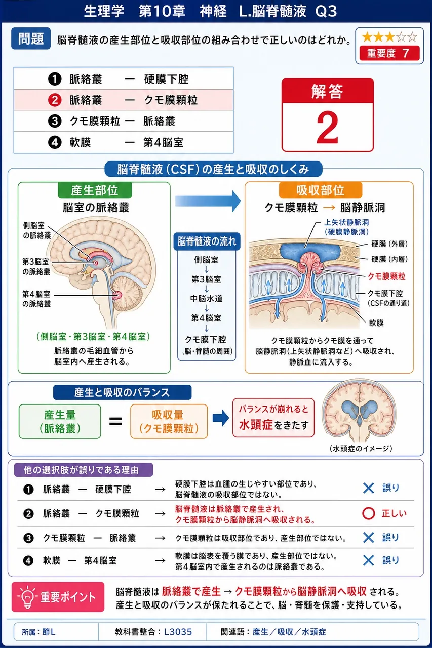 脳脊髄液の産生部位と吸収部位の組み合わせで正しいのはどれか。 解説図