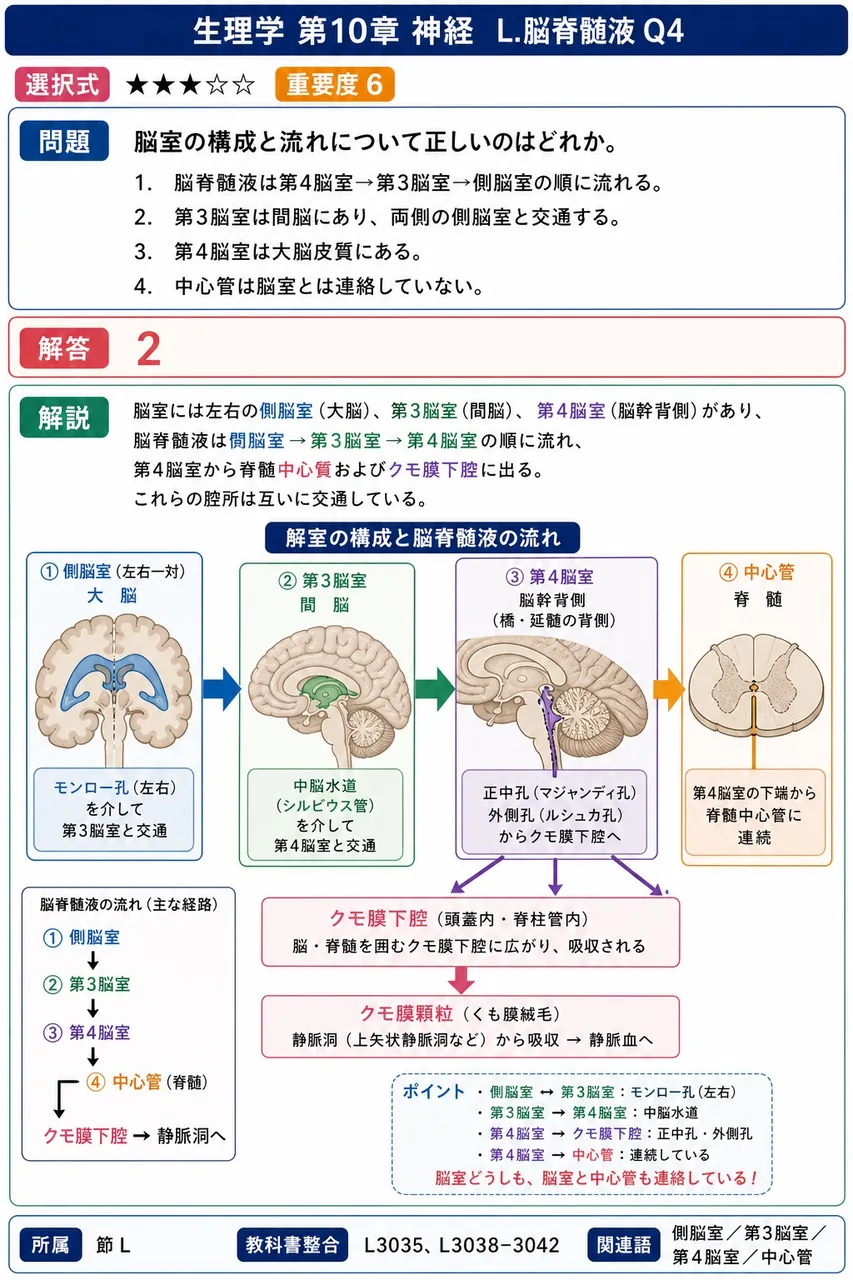 脳室の構成と流れについて正しいのはどれか。 解説図