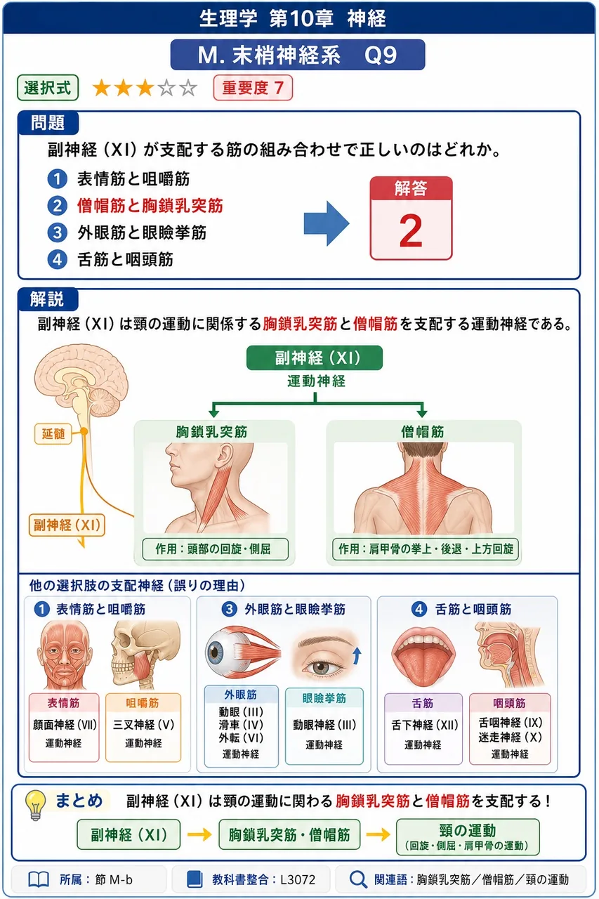 副神経（XI）が支配する筋の組み合わせで正しいのはどれか。 解説図