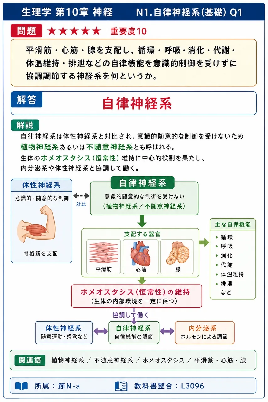 平滑筋・心筋・腺を支配し、循環・呼吸・消化・代謝・体温維持・排泄などの自律機能を意識的制御を受けずに協調調節する神経系を何というか。 解説図