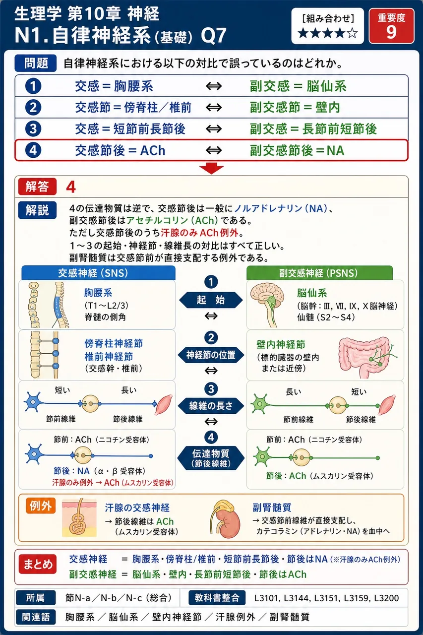 自律神経系における以下の対比で誤っているのはどれか。 解説図