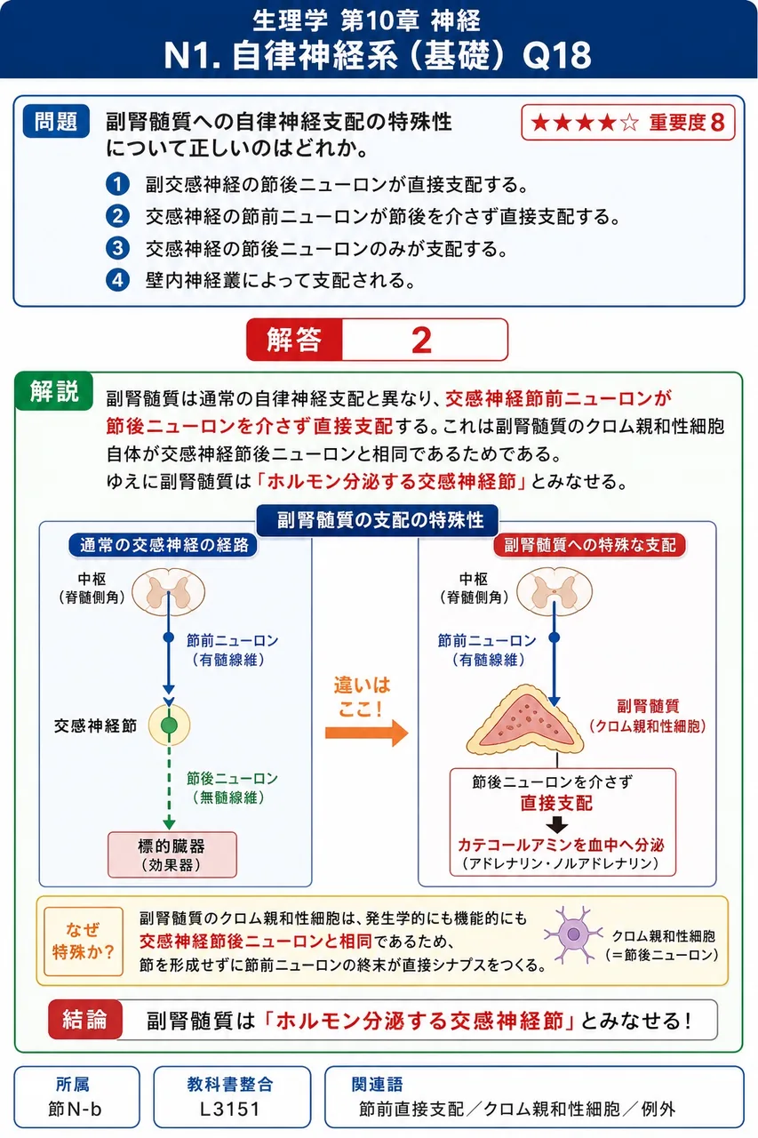 副腎髄質への自律神経支配の特殊性について正しいのはどれか。 解説図