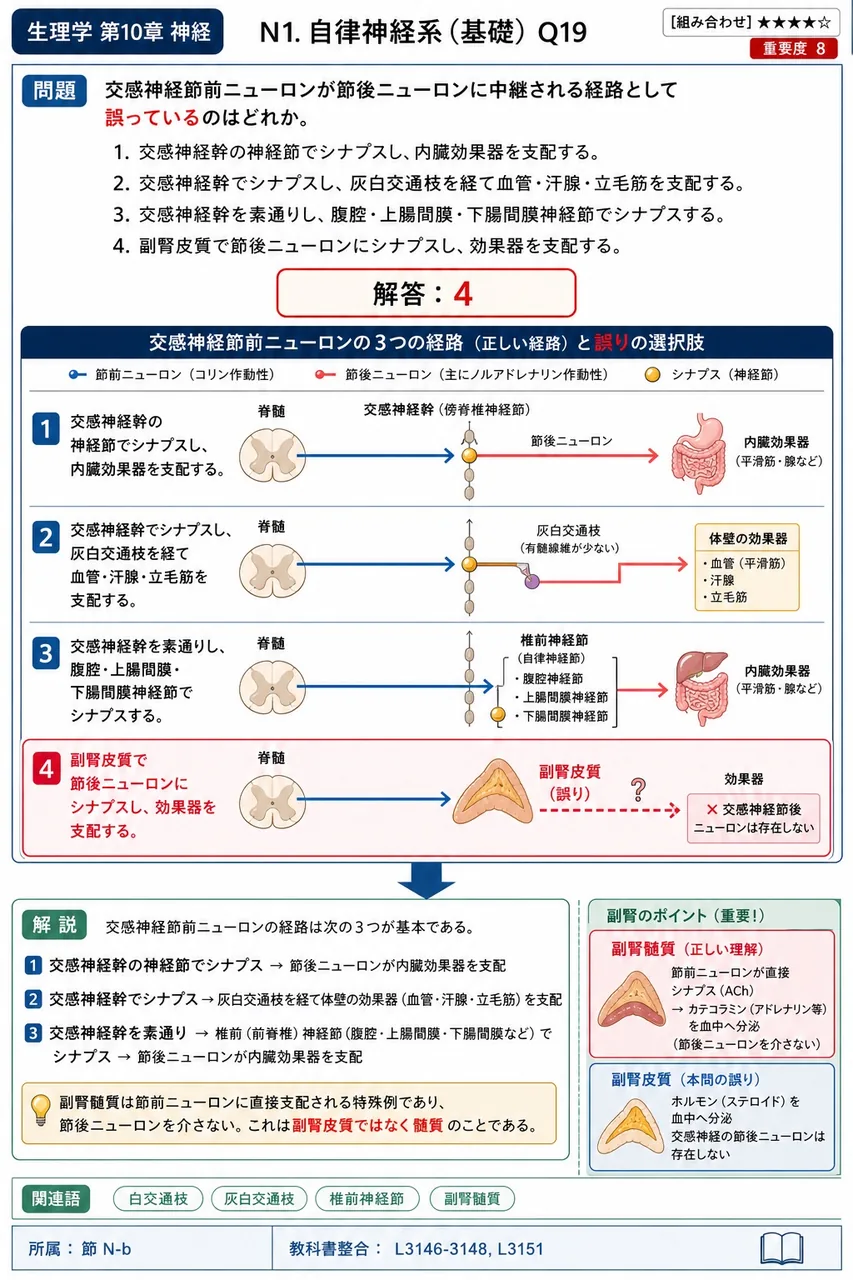 交感神経節前ニューロンが節後ニューロンに中継される経路として誤っているのはどれか。 解説図