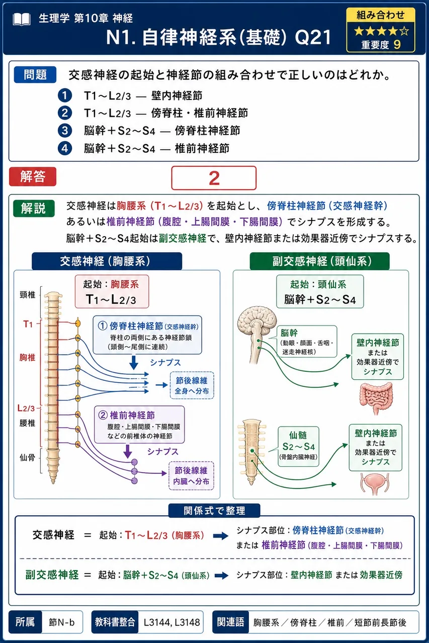 交感神経の起始と神経節の組み合わせで正しいのはどれか。 解説図