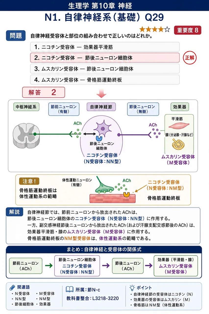 自律神経受容体と部位の組み合わせで正しいのはどれか。 解説図