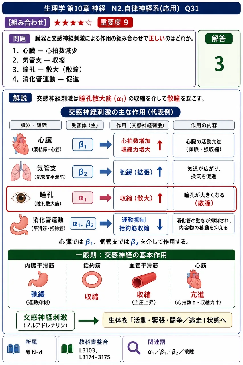 臓器と交感神経刺激による作用の組み合わせで**正しい**のはどれか。 解説図