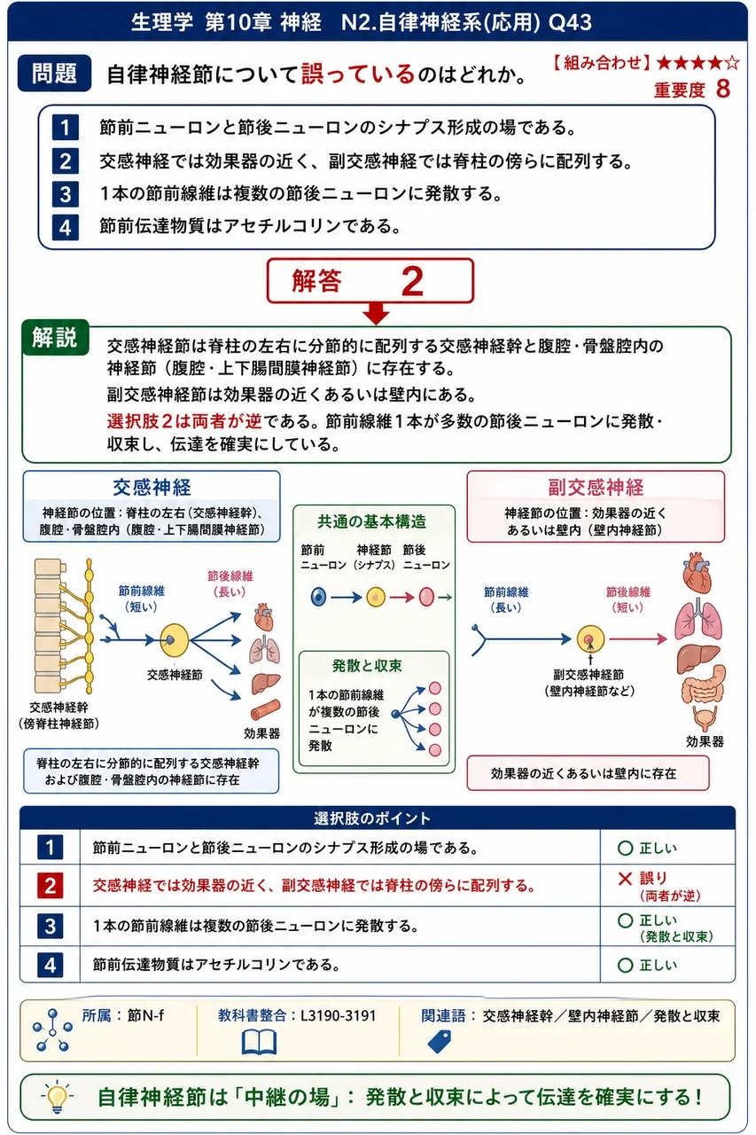 自律神経節について**誤っている**のはどれか。 解説図