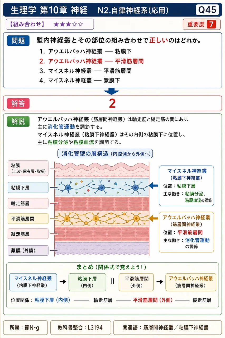 壁内神経叢とその部位の組み合わせで**正しい**のはどれか。 解説図
