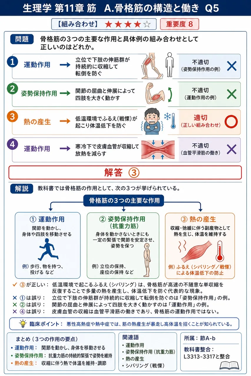 骨格筋の3つの主要な作用と具体例の組み合わせとして正しいのはどれか。 解説図