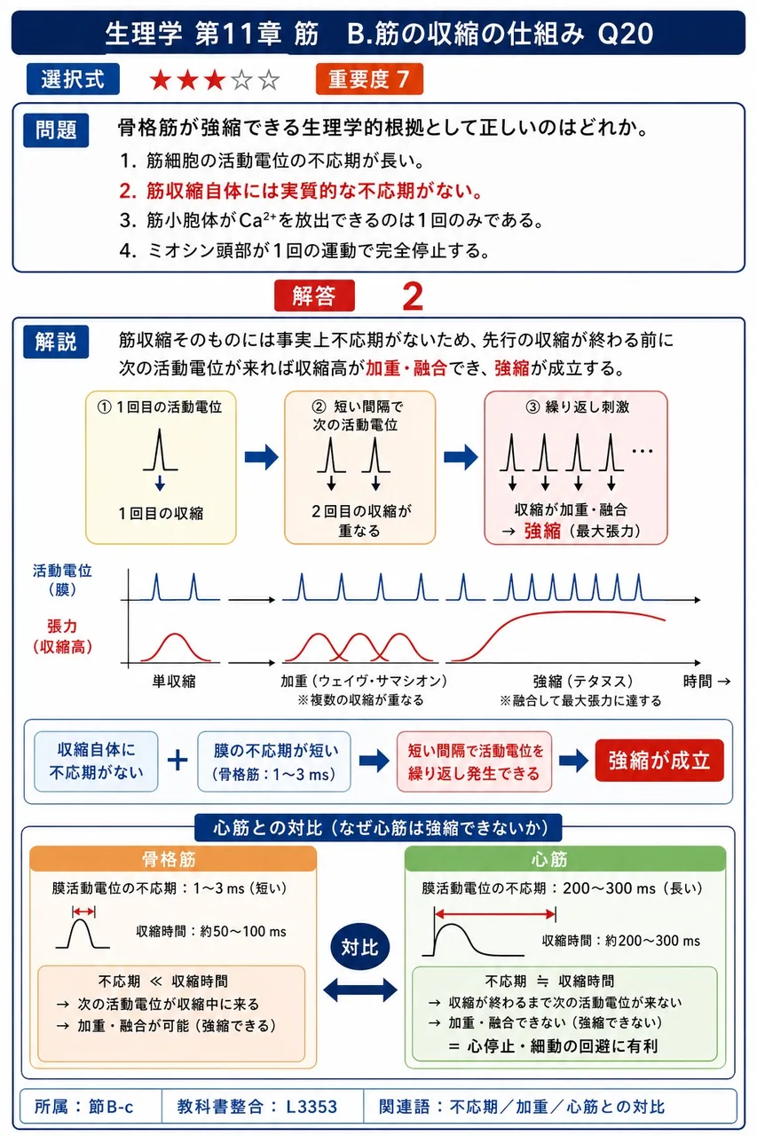 骨格筋が強縮できる生理学的根拠として正しいのはどれか。 解説図