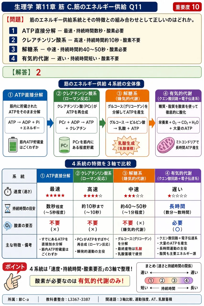 筋のエネルギー供給系統とその特徴との組み合わせとして正しいのはどれか。 解説図