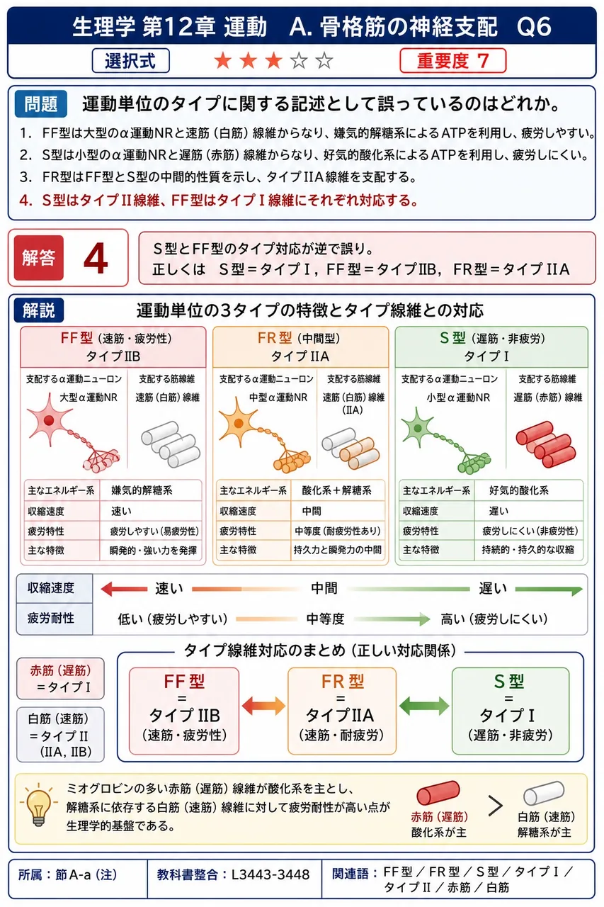 運動単位のタイプに関する記述として誤っているのはどれか。 解説図