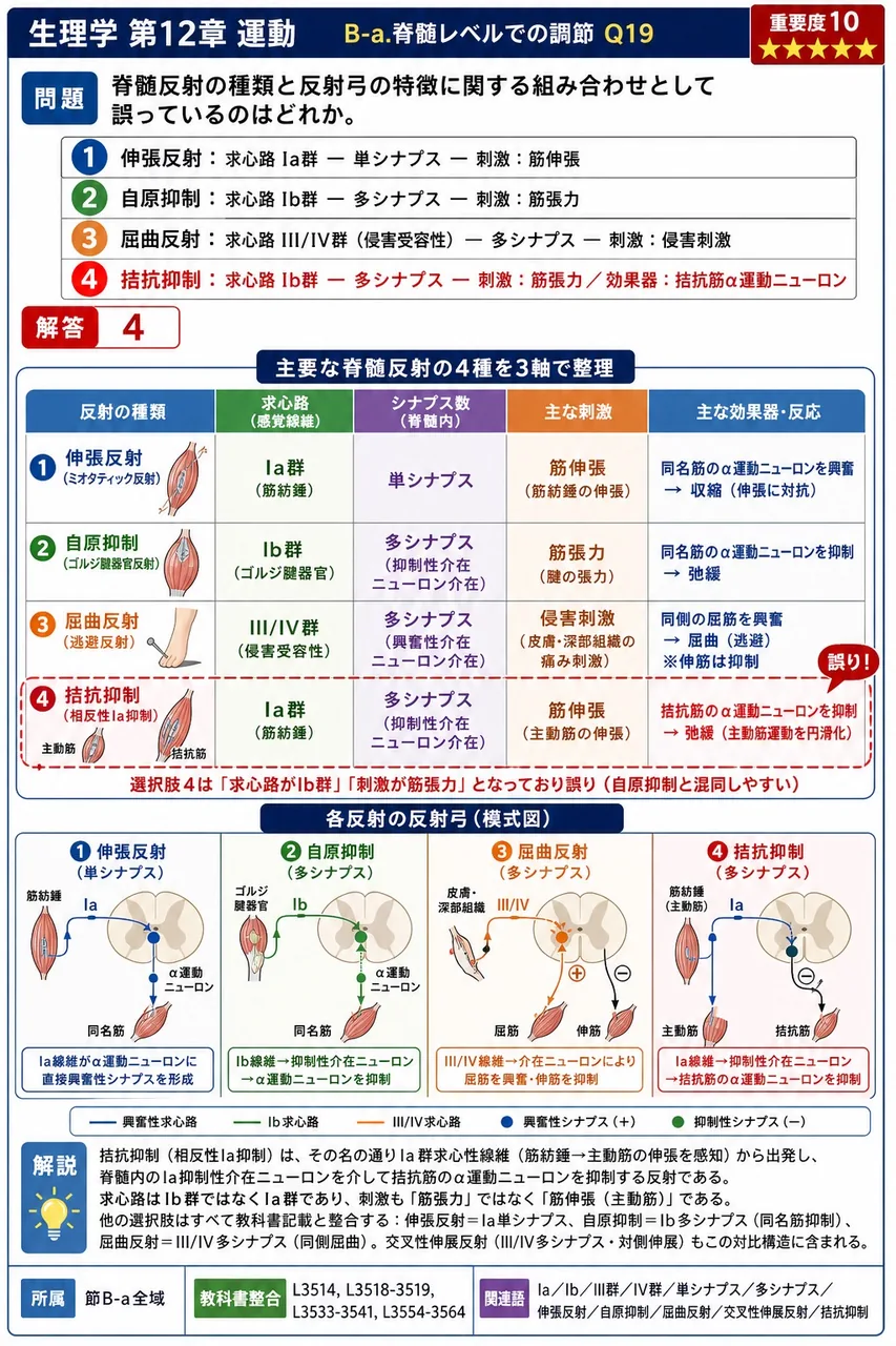 脊髄反射の種類と反射弓の特徴に関する組み合わせとして誤っているのはどれか。 解説図