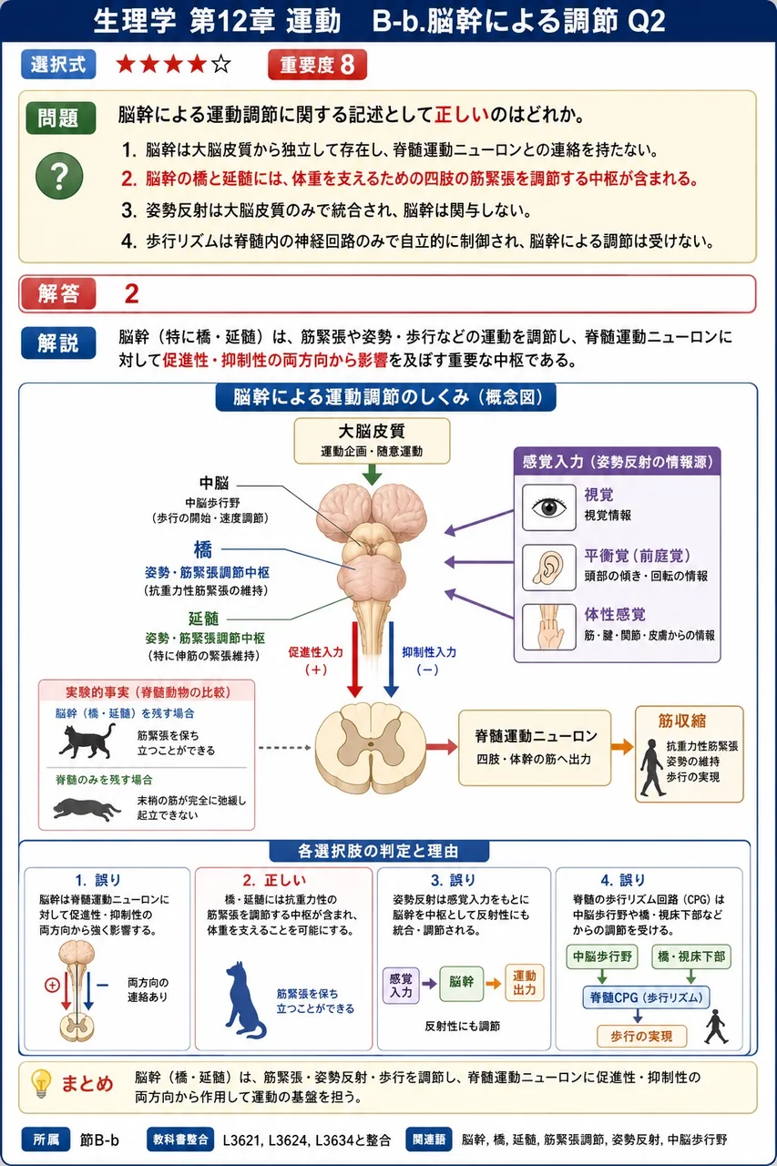 脳幹による運動調節に関する記述として**正しい**のはどれか。 解説図