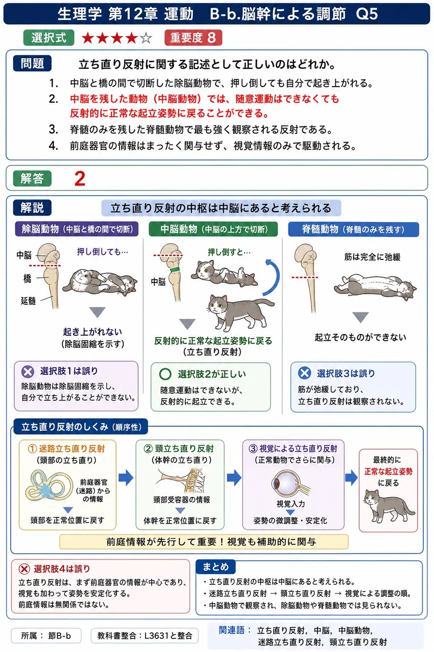 立ち直り反射に関する記述として**正しい**のはどれか。 解説図