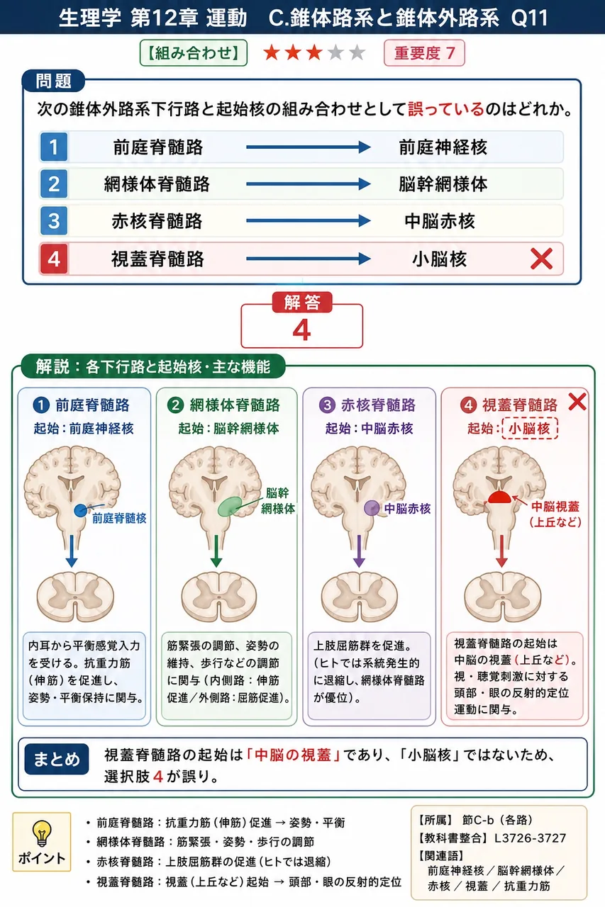 次の錐体外路系下行路と起始核の組み合わせとして誤っているのはどれか。 解説図