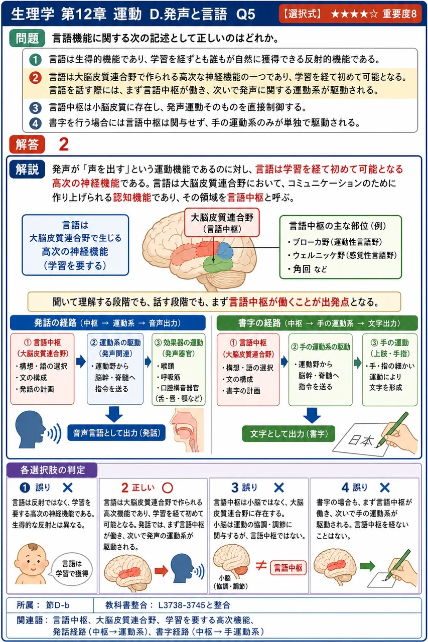 言語機能に関する次の記述として正しいのはどれか。 解説図