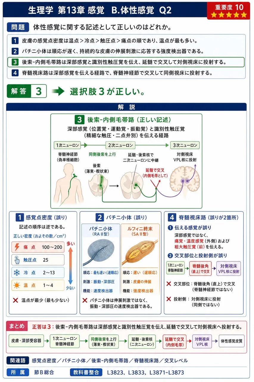 体性感覚に関する記述として正しいのはどれか。 解説図
