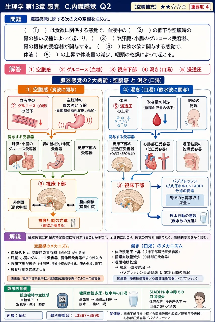 臓器感覚に関する次の文の空欄を埋めよ。 ( ① )は食欲に関係する感覚で、血液中の( ② )の低下や空腹時の胃の強い収縮によって起こり、( ③ )や肝臓・小腸のグルコース受容器、胃の機械的受容器が関与する。( ④ )は飲水欲に関与する感覚で、体液( ⑤ )の上昇や体液量の減少、咽頭の乾燥によって起こる。 解説図