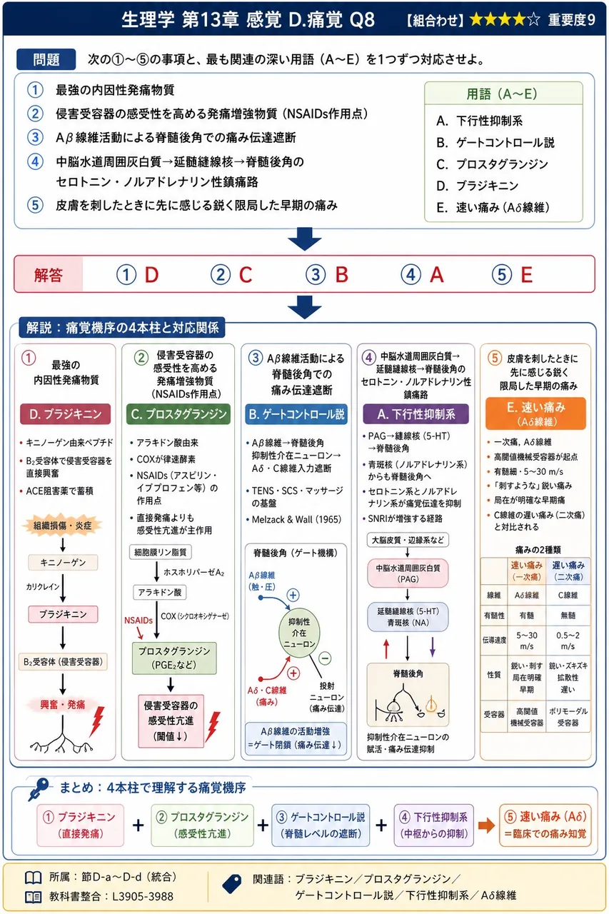 次の①〜⑤の事項と、最も関連の深い用語(A〜E)を1つずつ対応させよ。 ① 最強の内因性発痛物質 ② 侵害受容器の感受性を高める発痛増強物質(NSAIDs作用点) ③ Aβ線維活動による脊髄後角での痛み伝達遮断 ④ 中脳水道周囲灰白質→延髄縫線核→脊髄後角のセロトニン・ノルアドレナリン性鎮痛路 ⑤ 皮膚を刺したときに先に感じる鋭く限局した早期の痛みA. 下行性抑制系 B. ゲートコントロール説 C. プロスタグランジン D. ブラジキニン E. 速い痛み(Aδ線維) 解説図
