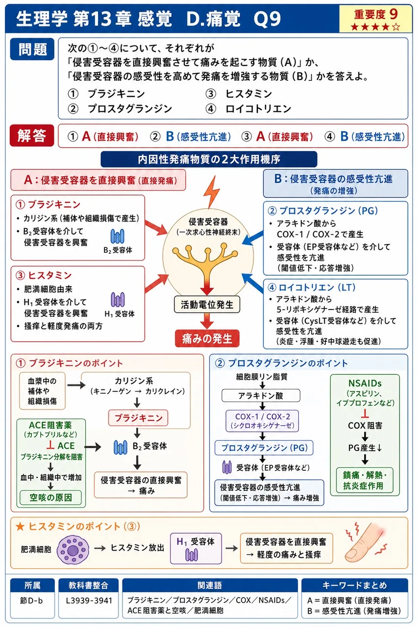 次の①〜④について、それぞれが「侵害受容器を直接興奮させて痛みを起こす物質（A）」か、「侵害受容器の感受性を高めて発痛を増強する物質（B）」かを答えよ。 ① ブラジキニン ② プロスタグランジン ③ ヒスタミン ④ ロイコトリエン 解説図
