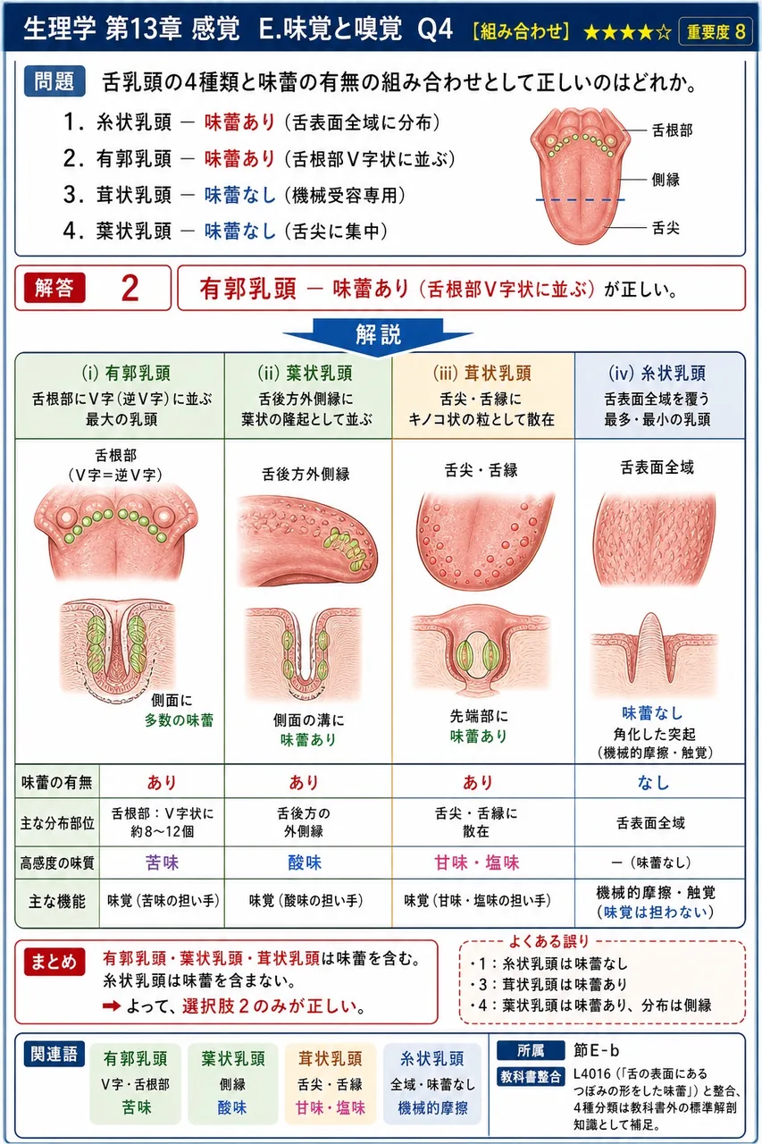 舌乳頭の4種類と味蕾の有無の組み合わせとして正しいのはどれか。 解説図