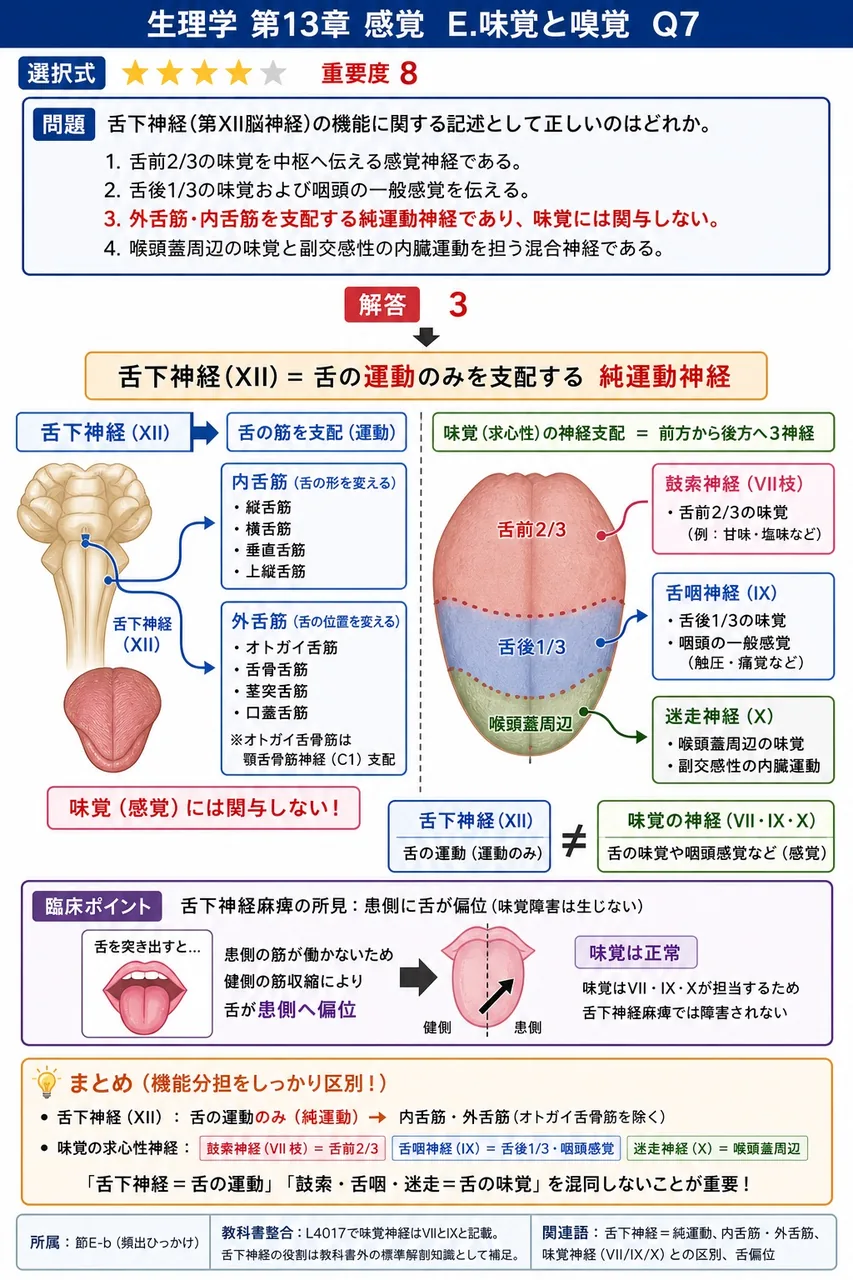舌下神経(第XII脳神経)の機能に関する記述として正しいのはどれか。 解説図