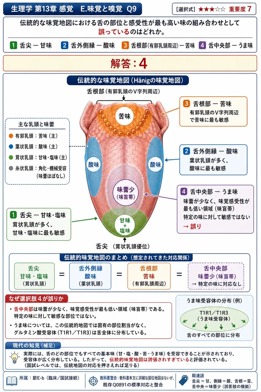 伝統的な味覚地図における舌の部位と感受性が最も高い味の組み合わせとして**誤っている**のはどれか。 解説図