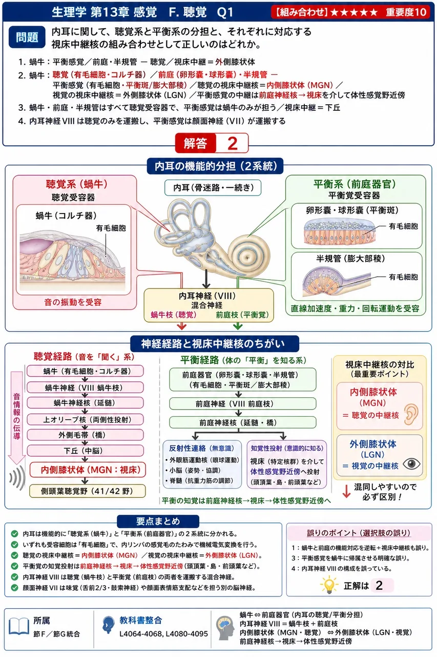 内耳に関して、聴覚系と平衡系の分担と、それぞれに対応する視床中継核の組み合わせとして正しいのはどれか。 解説図