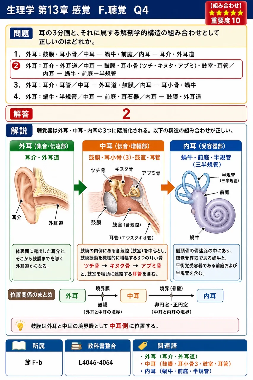耳の3分画と、それに属する解剖学的構造の組み合わせとして正しいのはどれか。 解説図