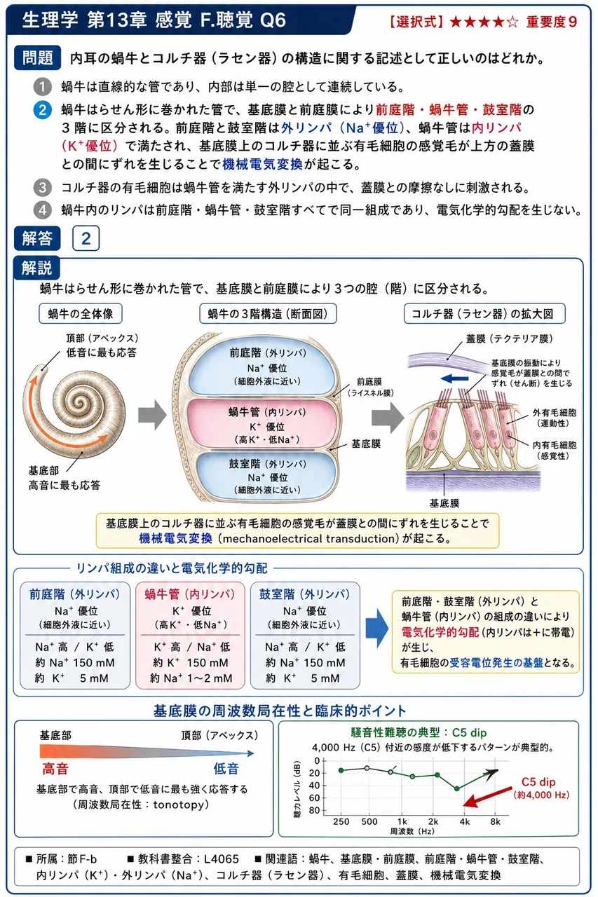 内耳の蝸牛とコルチ器(ラセン器)の構造に関する記述として正しいのはどれか。 解説図