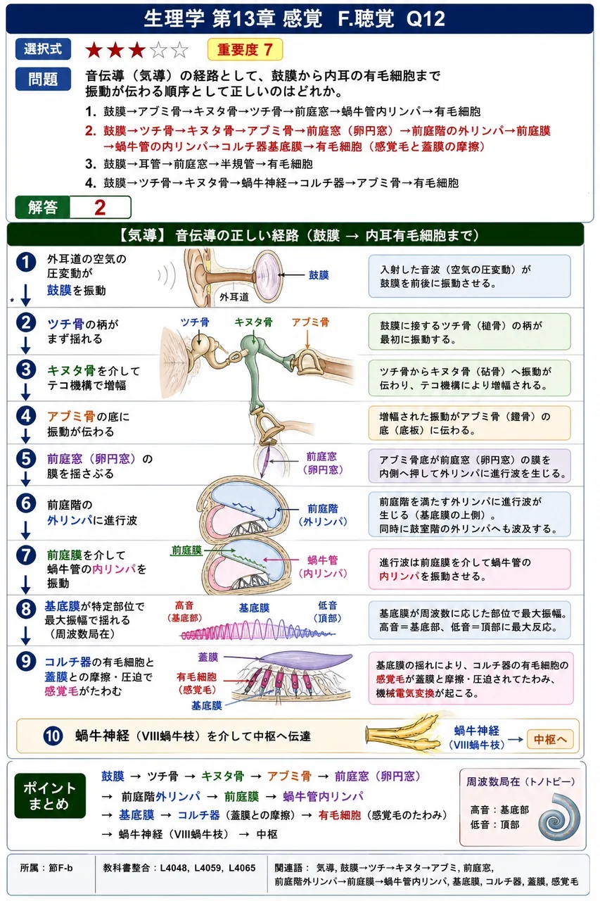 音伝導（気導）の経路として、鼓膜から内耳の有毛細胞まで振動が伝わる順序として正しいのはどれか。 解説図