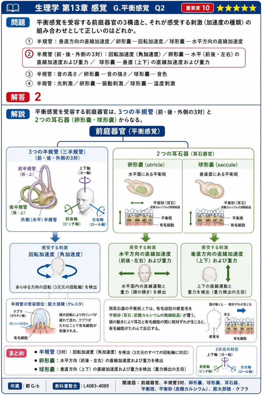 平衡感覚を受容する前庭器官の3構造と、それが感受する刺激(加速度の種類)の組み合わせとして正しいのはどれか。 解説図