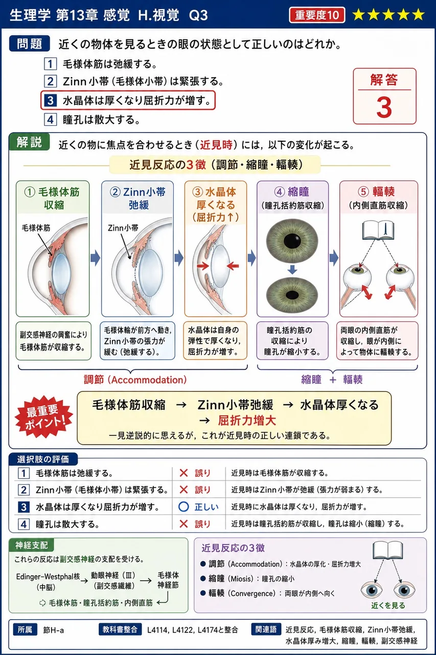近くの物体を見るときの眼の状態として**正しい**のはどれか。 解説図