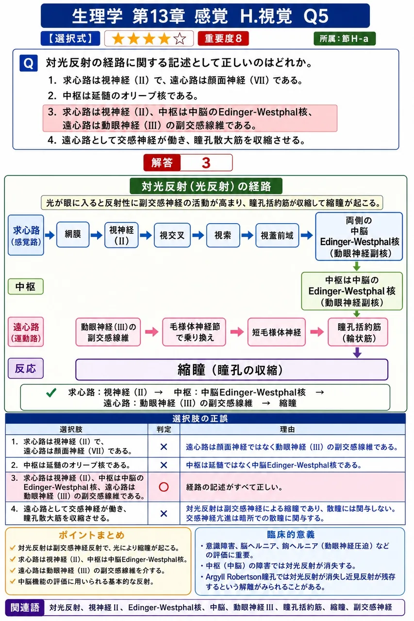 対光反射の経路に関する記述として**正しい**のはどれか。 解説図