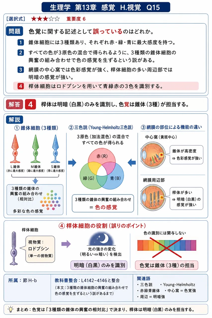 色覚に関する記述として**誤っている**のはどれか。 解説図