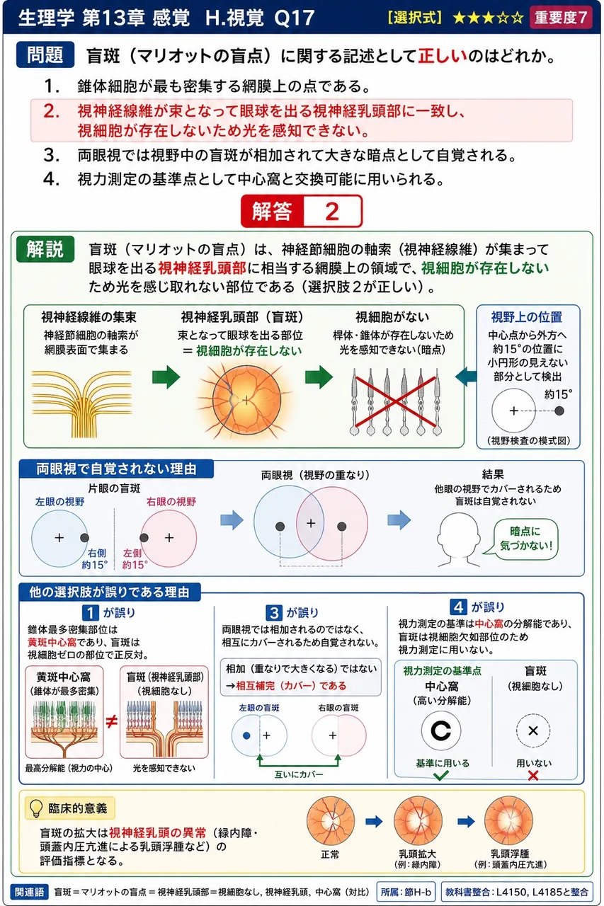 盲斑(マリオットの盲点)に関する記述として**正しい**のはどれか。 解説図