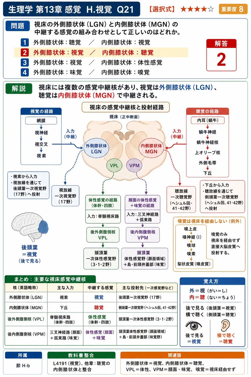 視床の外側膝状体（LGN）と内側膝状体（MGN）の中継する感覚の組み合わせとして**正しい**のはどれか。 解説図